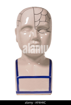 Phrenology head Stock Photo