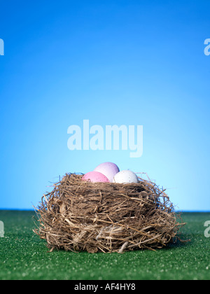 Birds nest Stock Photo