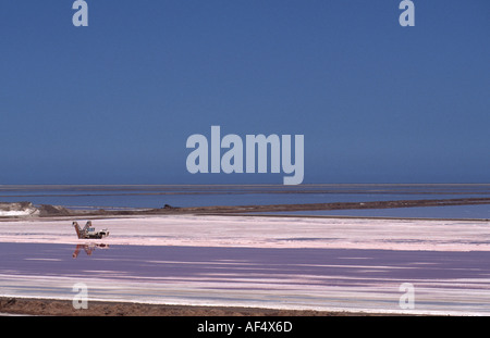 Sea Salt drying pans Walvis bay Namibia Stock Photo - Alamy