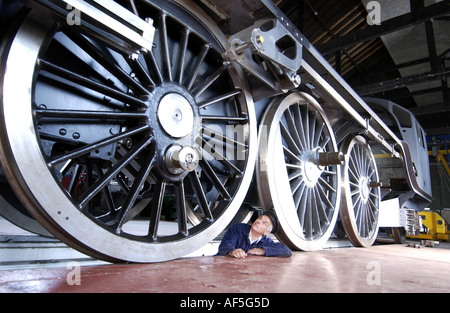 A1 Steam Locomotive Trust director John Larke is pictured  under the 6ft 8 inch driving wheels of Tornado Stock Photo