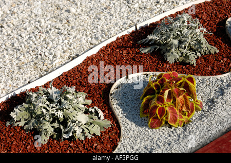 Pattern made from gravel and plants Stock Photo