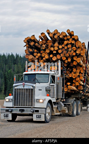 A Truck Load of Logs Stock Photo