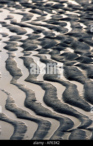 Rippled sand during low tide reflects setting sun, Bahia Honda State Park, Bahia Honda Key, Florida. Stock Photo