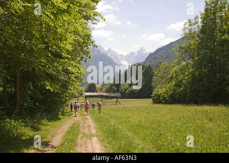 SLOVENIA EUROPEAN UNION June Group of ramblers walking alongside the summer flower meadows Stock Photo