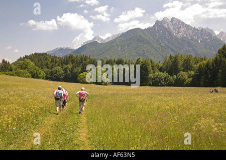 SLOVENIA EUROPEAN UNION June Group of ramblers walking alongside the summer flower meadows Stock Photo