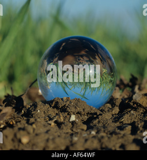 Crystal ball on soil refracting a young cereal crop behind it Stock Photo