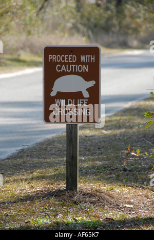 Automobile signs along the road at Cape Canaveral National Sea Shore alerting motorist to a wildlife crossing Stock Photo