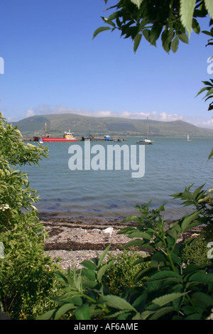 boats in Carlingford harbour, County Louth, Republic of Ireland Stock Photo