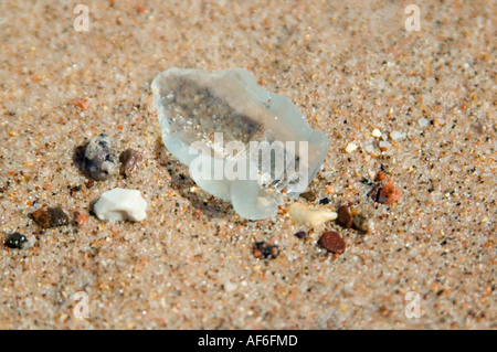 Horizontal close up of part of a broken bottle "sea glass" eroded by the sea washed up on the beach. Stock Photo