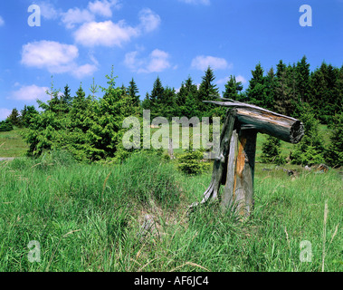 geography / travel, Germany, Hesse, Waldecker Land, National Park Kellerwald-Edersee, Additional-Rights-Clearance-Info-Not-Available Stock Photo