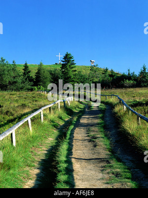 geography / travel, Germany, North Rhine Westphalia, Sauerland, nature protection area 'Neuer Hagen', Clemensberg, Rothaarsteig, Uplandsteig, Additional-Rights-Clearance-Info-Not-Available Stock Photo