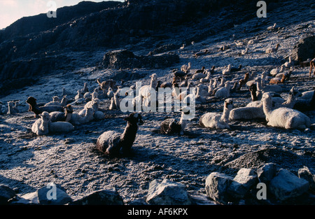 BOLIVIA La Paz Cordillera Apolobamba Stock Photo