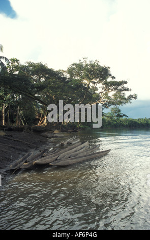 Canoes along the Sepik River Papua New Guinea Stock Photo