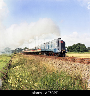 Steam railway train engine A4 Pacific No.4468 Mallard '88 World record holder fastest steam locomotive (achieved 3rd July 1938). Stock Photo