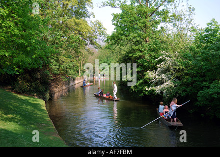 Students punting on River Cherwell, Oxford, Oxfordshire, England, United Kingdom Stock Photo