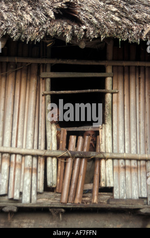 Along Sepik River Papua New Guinea Stock Photo