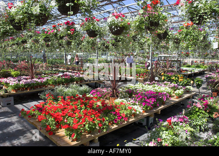 Garden centre with a variety of plants for sale. Stock Photo