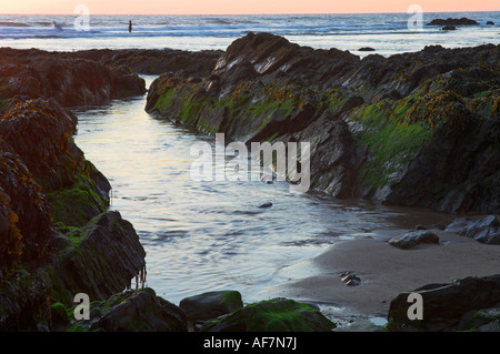Evening light tilting rock strata Northcott Mouth beach low tide North Cornwall west country near Bude England Stock Photo