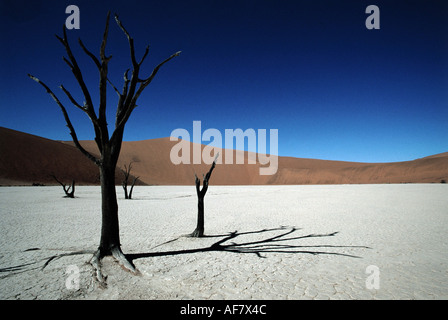 geography / travel, Namib Desert, Dead Vlei, dead trees, Additional-Rights-Clearance-Info-Not-Available Stock Photo
