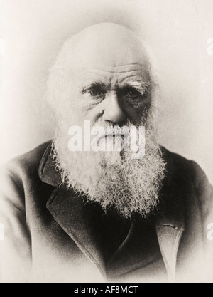 Charles Robert Darwin, 1809 – 1882. English naturalist, geologist and biologist.  Seen here in old age. Stock Photo