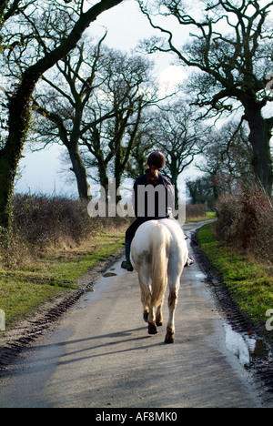 horse walking in rural country lane Beccles Suffolk Stock Photo