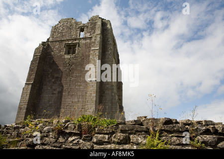 The West Tower, Shap Abbey, Cumbria. Stock Photo