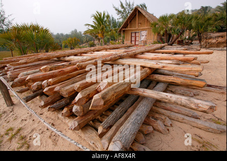 Lebombo ironwood (Androstachys johnsonii)  poles stacked and ready for use in building a new lodge Stock Photo