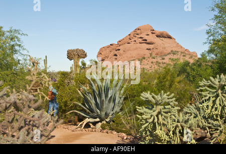 Arizona Phoenix Desert Botanical Garden Stock Photo