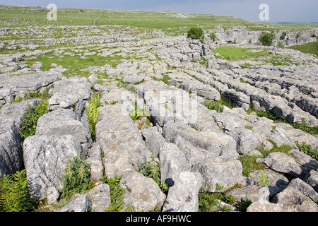 Deeply eroded limestone pavement with fissures and grykes at Malham ...