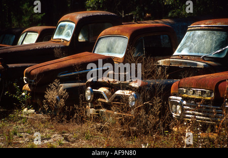 Florida Wakulla County rusted antique automobiles cars vehicles Stock