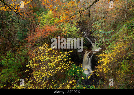 Vivid autumn colours in a variety of trees around a waterfall Stock Photo