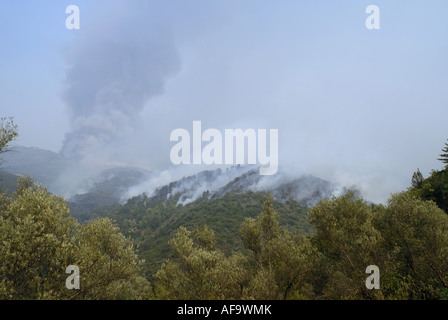 forest fires in Taygetus mountains, Greece 2007, Greece, Peloponnes, Kalamata Stock Photo