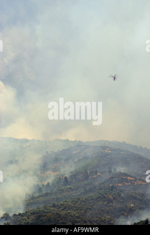 fire-fighting helicopter during forest fires in Taygetus mountains, Greece 2007, Greece, Peloponnes, Kalamata Stock Photo