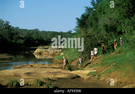 Tourists on a guided wilderness trail led by an armed game guard in the Levuvhu River bed in the Northern Kruger National Park. Stock Photo