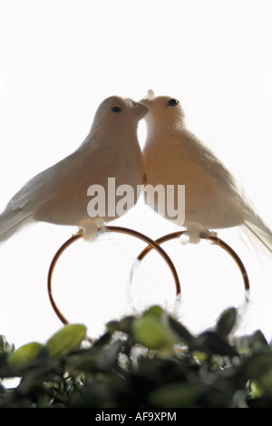 Doves on rings, close-up Stock Photo