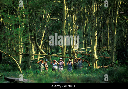 A group of bird watchers with binoculars on a wilderness trail in a fever tree forest in the Northern Kruger National Park. Stock Photo