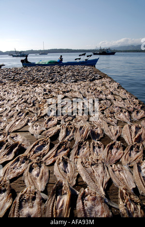 Fish drying in the sun on the dock, Livingston, Guatemala Stock Photo
