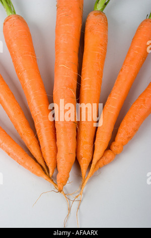 fresh carrots Stock Photo