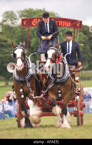 Heavy Horse Show a display of clydesdale horses pulling carts and horsemanship Kittochside Museum of Rural Life Stock Photo