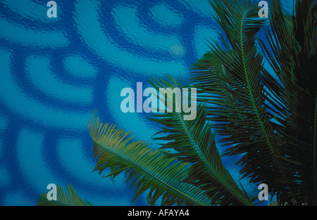 Aerial view of the design painted on the bottom of a pool through rippled water with palm fronds in the foreground Stock Photo