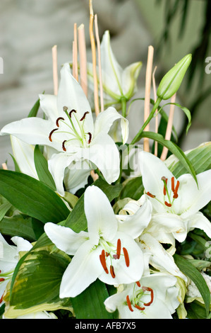 Flower arrangement of white daylily or day lily Courier lilaceae lilium ...