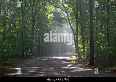 Road in Door County Wisconsin with sun beams coming thru the trees Stock Photo