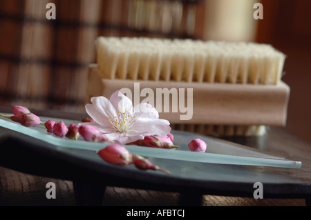 Blossoms on platter, nailbrush in background, close-up Stock Photo