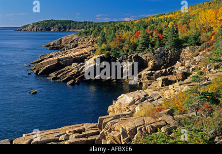 Fall colors along granite coastline near Otter Point Acadia National Park Maine Stock Photo