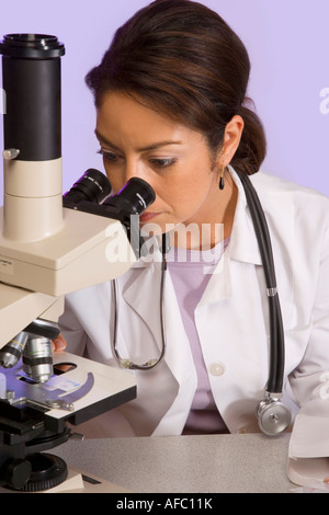 Viewing specimens under the microscope. Stock Photo