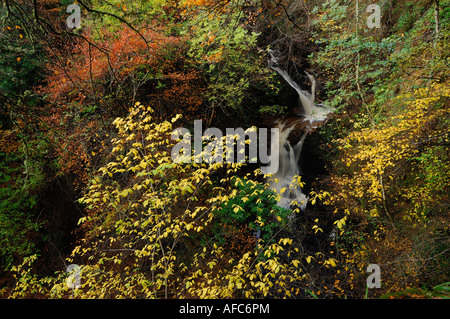 Vivid autumn colours in a variety of trees around a waterfall Stock Photo