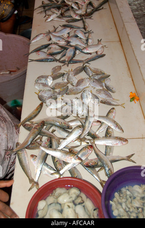 Fish for sale at Panaji Market, Goa, India Stock Photo