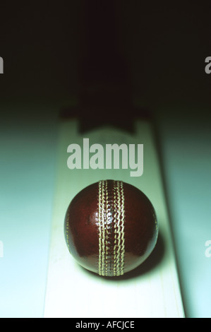 RED CRICKET BALL ON CRICKET BAT ON BACKGROUND PAPER Stock Photo