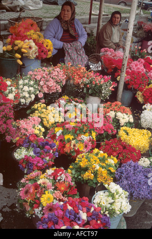 Turkey,Turkish,South East Europe,European,European Union,EU,E.U.,Western Asia,Asian Ottoman Empire,Middle East,Eastern,Istanbul,Taksim Square,gypsy fl Stock Photo