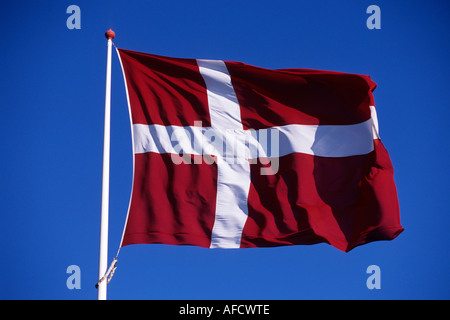 Dannebrog Danish Flag, Near Ribe, Southern Jutland, Denmark Stock Photo